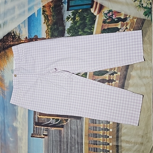 Ann Taylor High-Waisted Cropped Gingham Chino Pants Size‎ 6 Petite NWT 6P - Picture 2 of 6